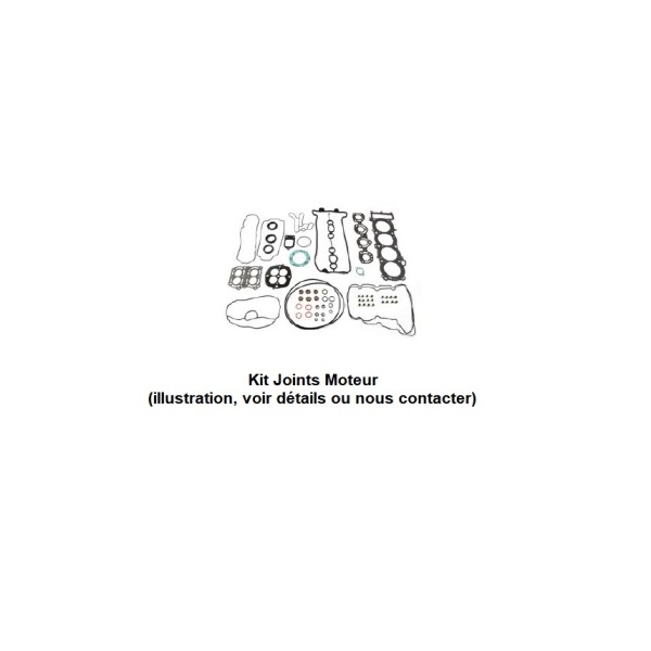 Kit joints haut moteur pour jet-ski Tigershark